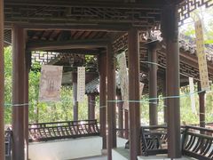 -上海佘山国家森林公园天马山园