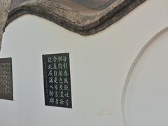 -桃花堤公园