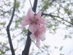 -团城山公园