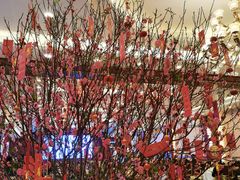 -顺风山庄(水濂山店)