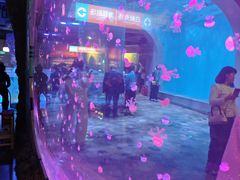 -哈尔滨极地公园
