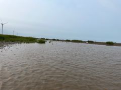 -启东黄金海滩景区