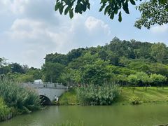 -王借岗森林公园