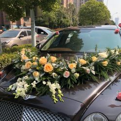 -蚂蚁婚车