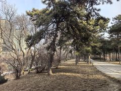 -元大都城垣遗址公园