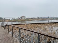 -贡湖湾湿地公园