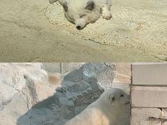 -珠海长隆海洋王国
