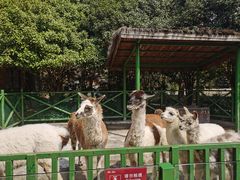 -杭州野生动物世界