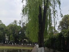 -四川大学(望江校区)