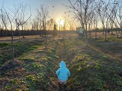 -上海海湾国家森林公园