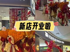 -沈阳HAI乐园