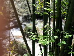 -四洞沟景区