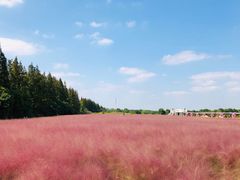 -嘉北郊野公园