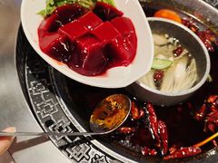 -晓宇重庆火锅(赛格国际购物中心店)