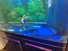 -火影不二碳烤牛肋条自助烤肉店榴莲鳗鱼生蚝(红山店)
