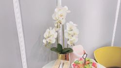 -MIVI野生眉纹绣纹眉