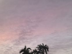-苏豪美发S A L O N烫发染发