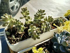 -咱家大院海鲜家常菜