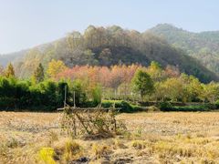 -塔川景区