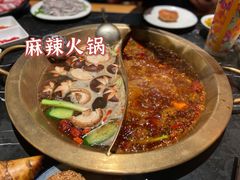 -杨家火锅(国美店)