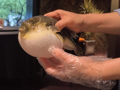 -肆月河豚·淮扬菜·湘菜(华天店)