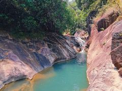 -广州白江湖森林公园