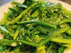 油麦菜-诺敏塔拉奶茶-布里亚特包子-手把肉(锦都会店)