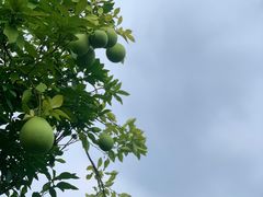 -雅达·阳羡溪山小镇中心