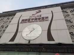 -美莱医学美容医院