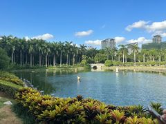 -南宁南湖公园