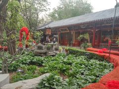 -白家大院·王府宫廷菜(苏州街店)