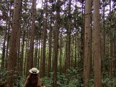 -冶父山国家森林公园