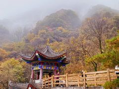 -西安祥峪森林公园