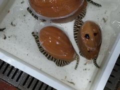 -京深海鲜市场(光彩路店)