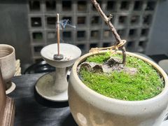 -自由生长植物工作室(深港花卉中心店)