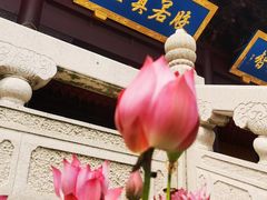 -重元寺