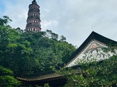 -顺峰山公园