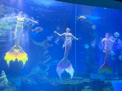 -多彩贵州城极地海洋世界