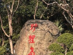 -野狸岛