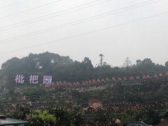 -枇杷园食为鲜火锅(南山店)