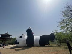 -苏州太湖国家湿地公园