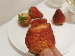 -京彩臻品火锅