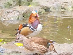 -大连老虎滩海洋公园