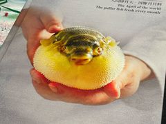 -肆月河豚·淮扬菜·湘菜(华天店)