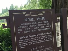 -包公祠