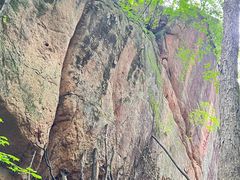 -五女峰国家森林公园