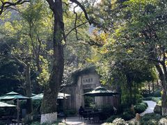 -十八棵（老龙井）御茶园(老龙井店)