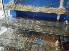 -仙螺岛海鲜自助餐厅(总店)