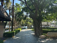 -海南清水湾莱佛士酒店