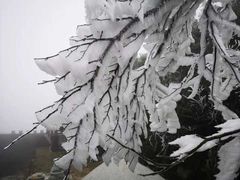 -燊辉燊麦(南站店)